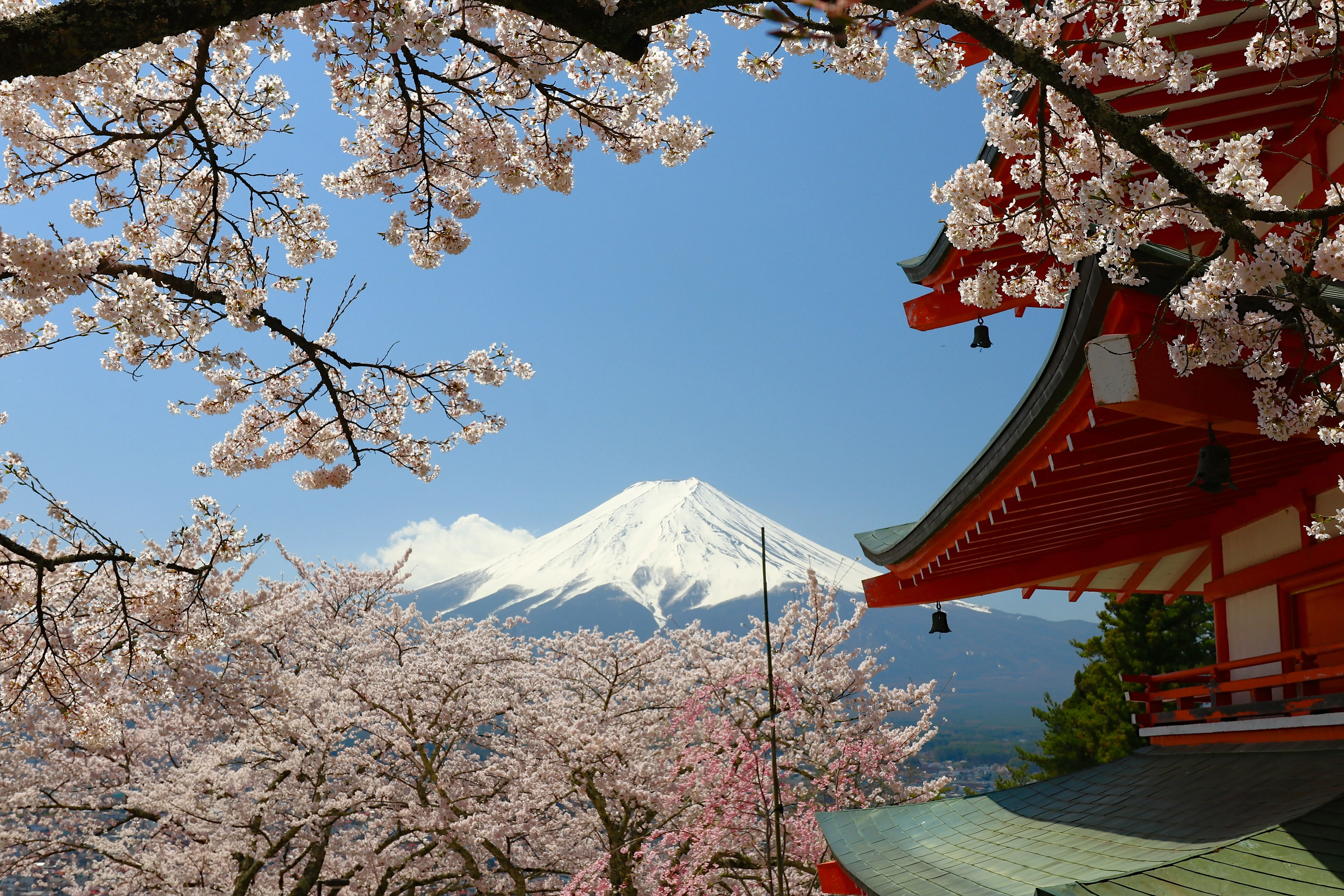 Best Japan eSIM for Tourists: Stay Connected in Tokyo, Kyoto, Osaka and Beyond
